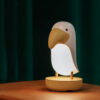 Bird Toucan night light, adding a playful and vibrant touch to children's rooms or any space in need of soft, whimsical lighting.