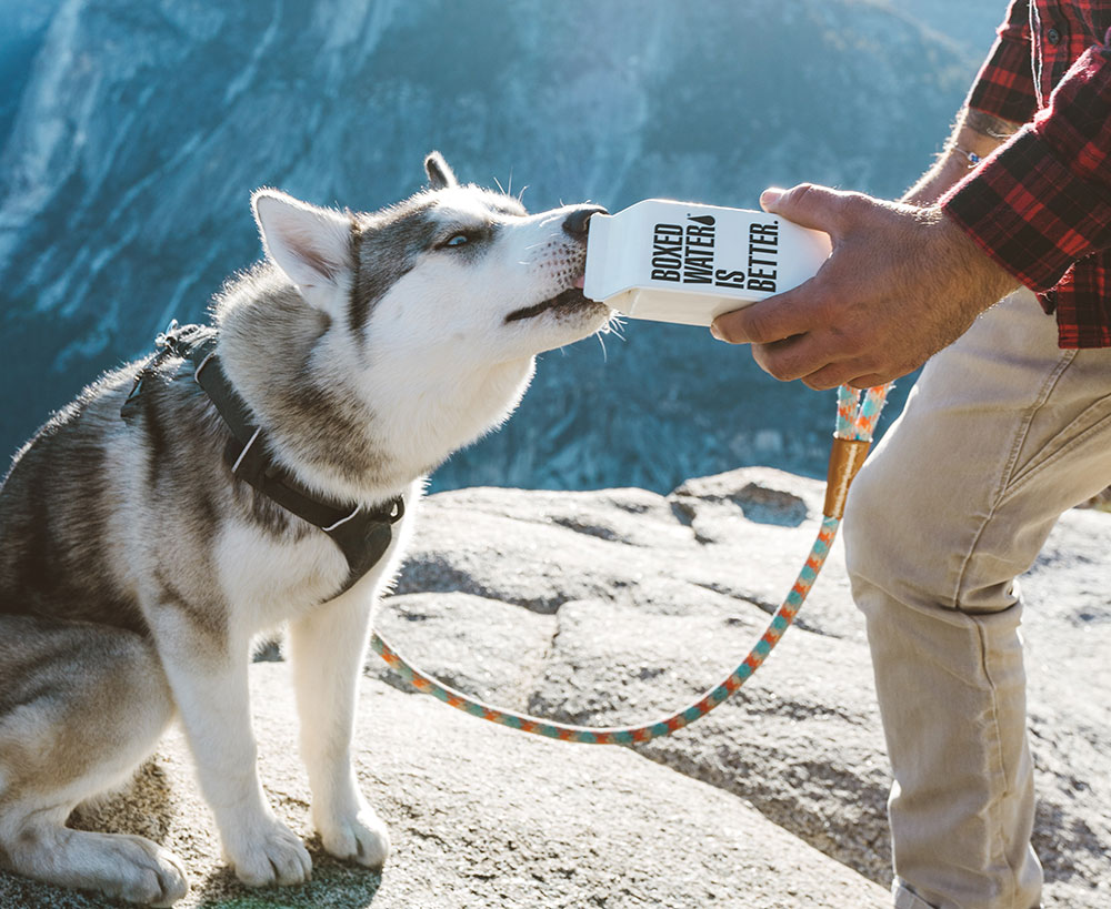 Hand holding a Boxed Water carton against a bright blue sky, highlighting a sustainable alternative to plastic.